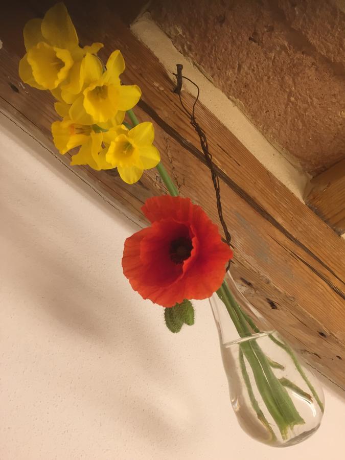 Bed and Breakfast Tabano Ristorante-Casolare Ези Экстерьер фото